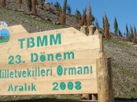 “Milletvekiilleri Ormanı' fidanları bakımsızlıktan kurudu