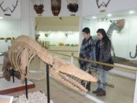 Zooloji Müzesi, eğitim merkezi oldu