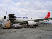 Turkish Cargo, aslanları, penguenleri taşıdı 