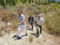 MATSO: ''Sultanların geçtiği yolu alternatif turizme kazandırdık''