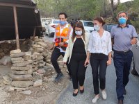 KKTC'ye pikniğe 8 uçakla gidenler; yangına uçak gönderemiyor