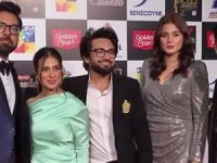 Pakistan sinemasının Prestij Ödülleri İstanbul'da verildi