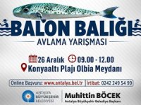 Antalya 'da zehirli Balon Balığı yakalama yarışması düzenleniyor!