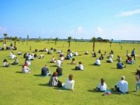 Caretta caretta yuvalarına ‘çim’ yapıldı