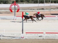 Hipodrom turizmi 12 aya yaymak için mihenk taşı