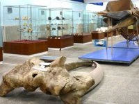 Süryaniler köylerine dönüyor