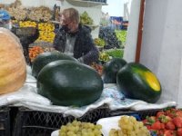 İran karpuzunu yerleşik Almanlar kilo ile halk dilimle alıyor
