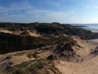 Zeytinliklerin ardından koruma alanları da ranta açılıyor