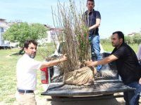 Manavgat'ta ipek böcekçiliği için 1400 dut fidanı dağıtıldı