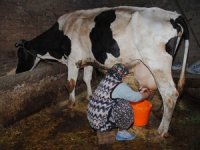 Sürdürülebilir turizm nitelikli, tarım ve hayvancılıktan geçer