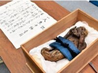 300 yıllık 'deniz kızı' mumyası bilim insanları tarafından inceleniyor