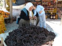 İbradi’ye turisti eko turizm ve 1000 yaşında kestane ağaçları çekiyor