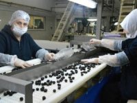 THY'de 60 milyon zeytinyağı ve sosu tüketiliyor