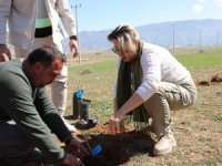 Korkuteli'nde Gaziantep fıstığı yetiştirilecek