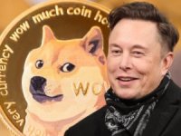 Elon Musk Twitter'ın logosunu değiştirdi, Dogecoin uçtu