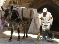 Kadrolu eşeklerin mesaisi 5 saate indirildi