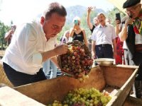 Antalya Gastronomi Festivali’nde mor üzüm hasadı
