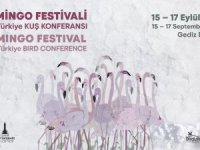 Türkiye’nin ilk Flamingo Festivali yapılıyor