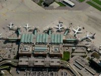 Martılar, Venedik havalimanında uçuşları engelliyor