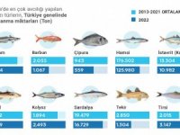 Ege Denizi'nde balık türlerinin stokları tehdit altında