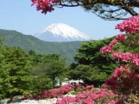 Japonya, kirlenmeye karşı Fuji Dağı'na ziyaretçi yasağı getiriyor