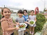 Muratpaşa'da çocuklara ekolojik tarım yerinde öğretiliyor