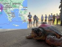 Deniz kaplumbağası “Tuba”dan 3 aydır sinyal yok