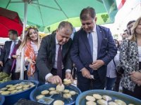 Balkan: Enginar Festivali, bir Urla hikayesidir