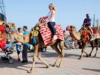 Deve turları Alanya'da da yasaklandı