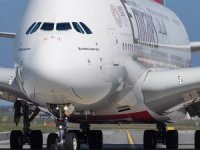 Emirates, eşek derisi kaçakçılığı ile mücadelede yer alıyor