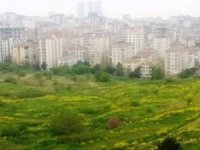 İstanbul'un göbeğinde devasa arazi 6.5 milyara el değiştirdi!