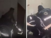 Sahte pasaport şebekesine operasyon: 5 kişi gözaltına alındı
