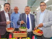Kaş'ın en büyük zenginliği arkeolojik varlıklarımız!