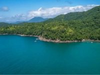 Deniz kıyısındaki ormanlık alanlar turizme açıldı