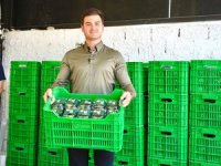 Coğrafi İşaretli Bodrum Mandalinasında Hedef 40 Ton