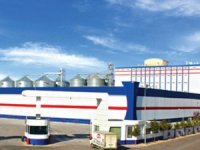 Türkiye'nin dev gıda fabrikası Oba Makarna Japonların oldu!