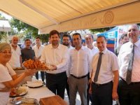 Bereketin simgesi Sarıulak Zeytini, festival ile kutlanıyor