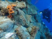 Tunç Çağı’ndan Osmanlı’ya tarih yeniden yazılıyor