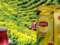 Lipton da Türkiye'den çekildi: Çay üretimini devretti
