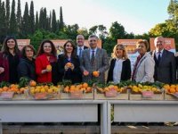 Finike Portakalı'nın AB tescil süreci sürüyor!