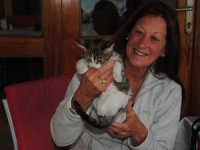 Side'de kedilerin beslenmesi yerleşik Almanlara emanet!