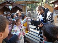 Doğal Yaşam Parkı'nı 5 bin 432 öğrenci ziyaret etti!