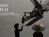 Amsterdam Art Zoo Museum “Dünyanın En İyisi” seçildi