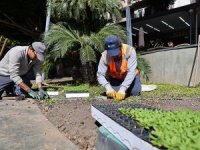 Antalya turizm sezonunu rengarenk çiçeklerle karşılayacak!