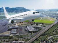 Havalimanı terminali çatısına üzüm bağı kuruldu