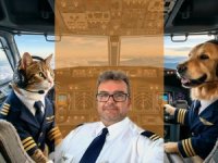 Kendilerini hayvan sanan "Therian" pilotlar kokpitte miyavlıyor