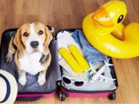 Turizmde yeni 'pati dostu' ekonomi dönemi