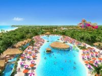 Mahkeme, Royal Caribbean'a ağaç kesme izni verdi