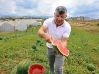 Oteller yılda 21 bin ton kavun ve karpuz tüketiyor