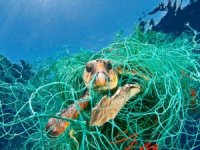 Akdeniz’de plastik alarmı! Akıntılar Alanya’ya taşıyor